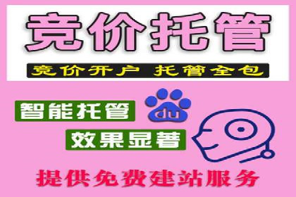 SEO与SEM案例分析：提升网站排名策略